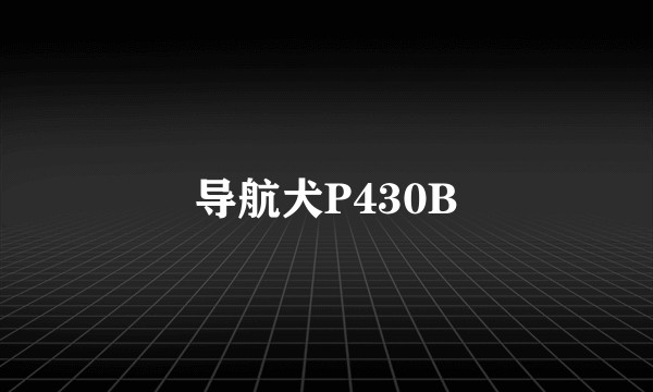 导航犬P430B
