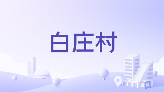 白庄村（山东省微山县夏镇街道原下辖村）