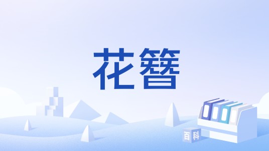 花簪（装饰品）