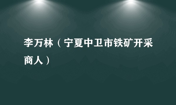 李万林（宁夏中卫市铁矿开采商人）