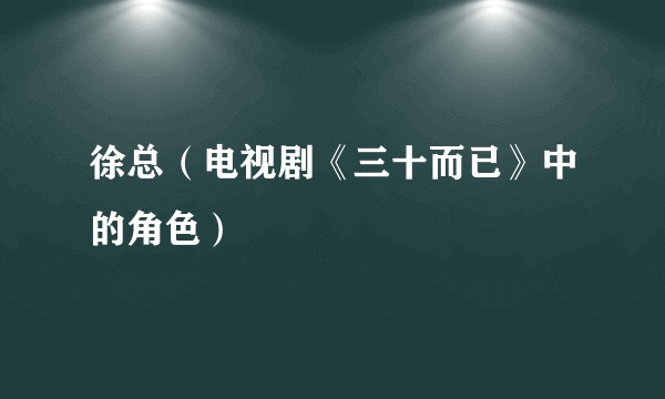 徐总（电视剧《三十而已》中的角色）