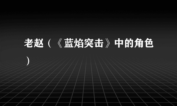 老赵（《蓝焰突击》中的角色）