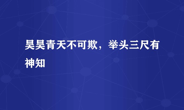 昊昊青天不可欺，举头三尺有神知