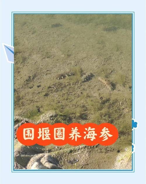 围堰养殖