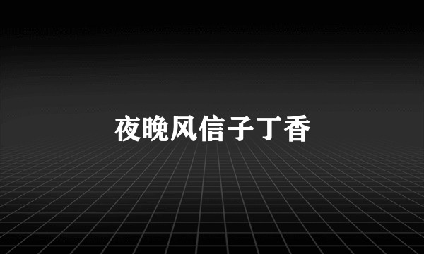夜晚风信子丁香