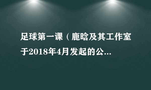足球第一课（鹿晗及其工作室于2018年4月发起的公益项目）
