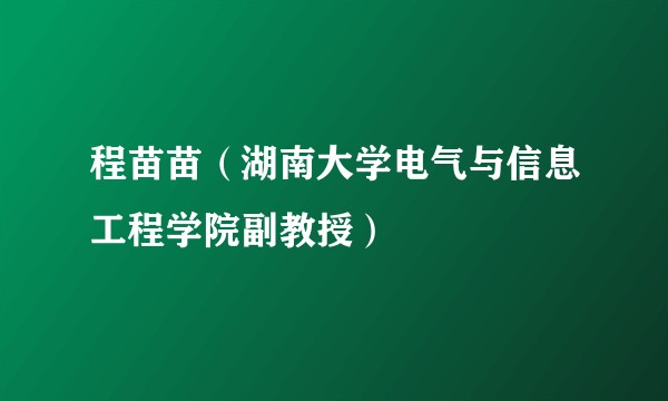 程苗苗（湖南大学电气与信息工程学院副教授）