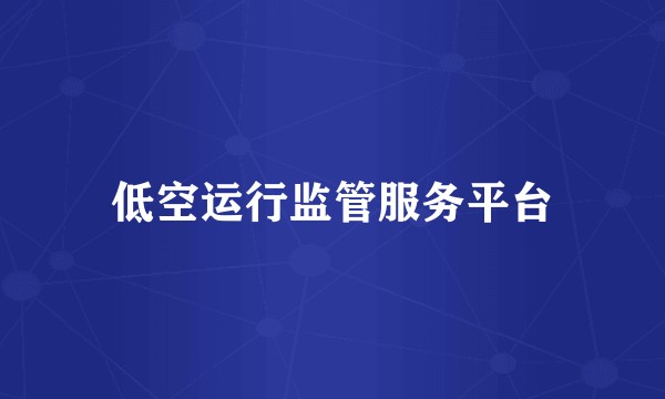 低空运行监管服务平台