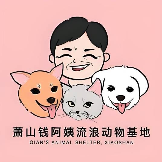 萧山钱阿姨流浪动物基地