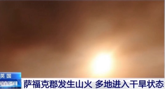 7·29英国山火