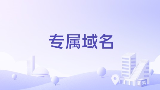 专属域名