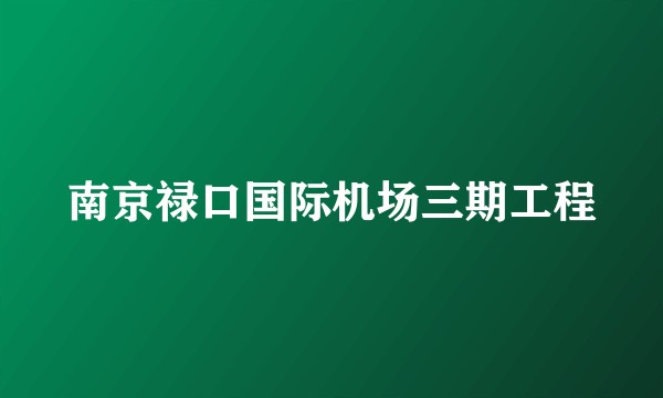 南京禄口国际机场三期工程