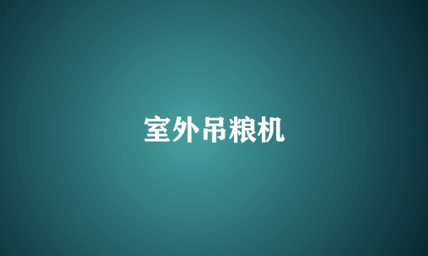 室外吊粮机