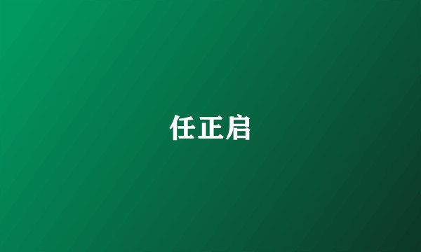 任正启