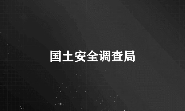 国土安全调查局