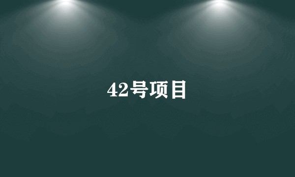 42号项目