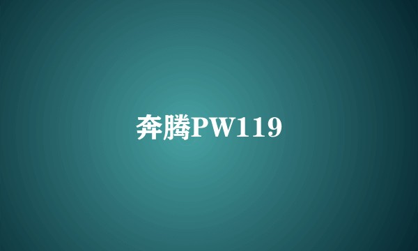 奔腾PW119