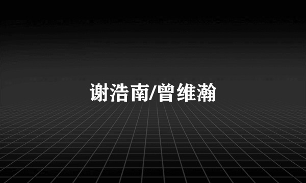 谢浩南/曾维瀚