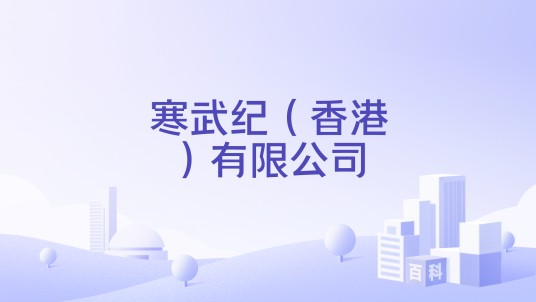 寒武纪（香港）有限公司