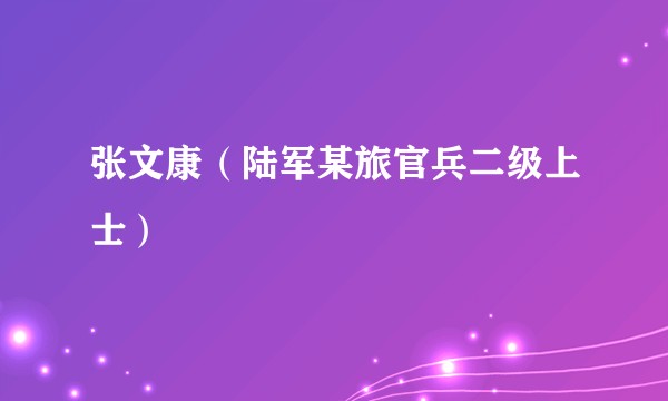 张文康（陆军某旅官兵二级上士）