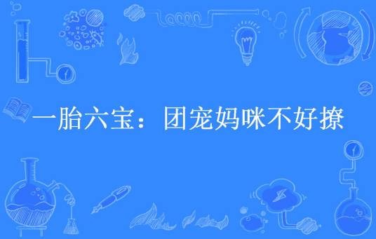 一胎六宝：团宠妈咪不好撩