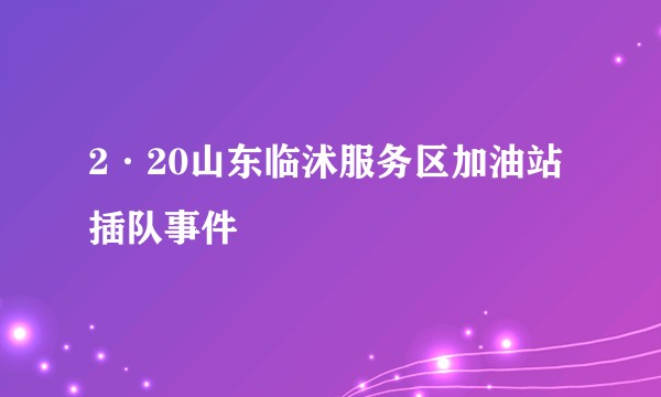2·20山东临沭服务区加油站插队事件