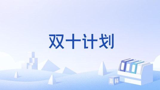 双十计划