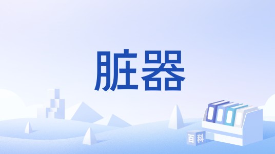 脏器