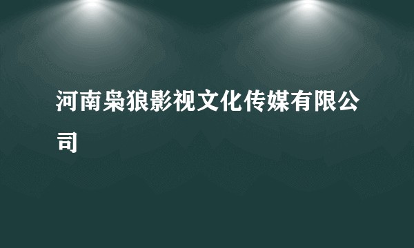 河南枭狼影视文化传媒有限公司