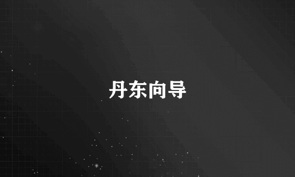 丹东向导
