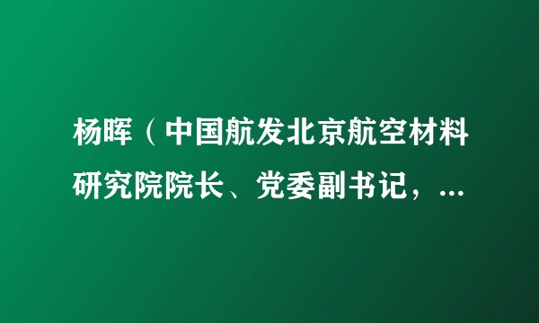 杨晖(中国航发北京航空材料研究院院长、党委副书记,北京航空材料研究院股份有限公司董事长)