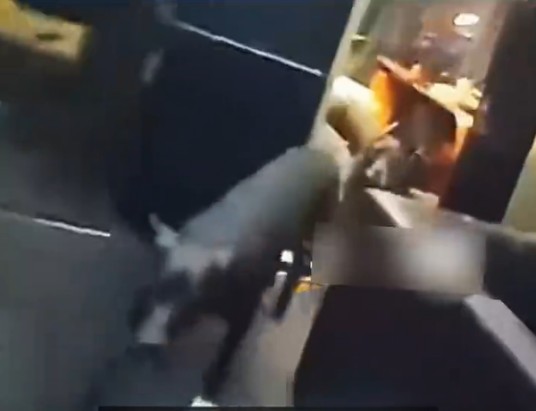 7·20昆明外卖员被烈犬吓坏事件