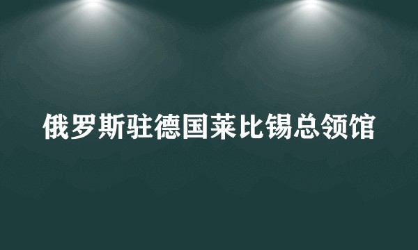 俄罗斯驻德国莱比锡总领馆