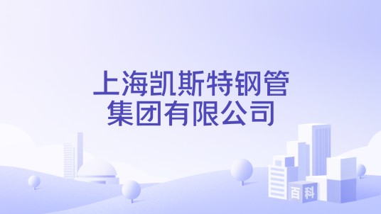 上海凯斯特钢管集团有限公司