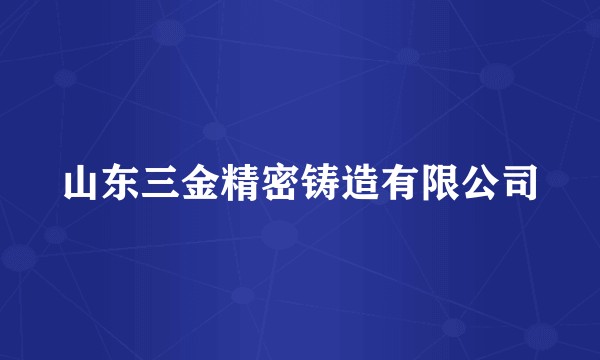 山东三金精密铸造有限公司