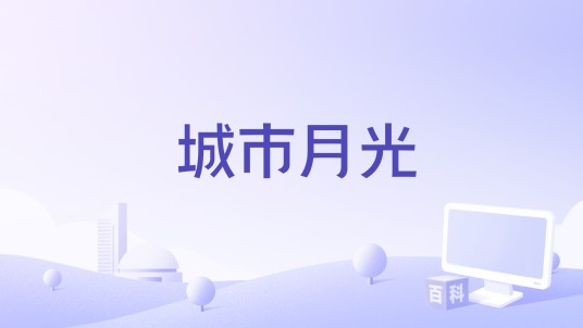 城市月光（苏晓鹏演唱的歌曲）