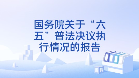 国务院关于“六五”普法决议执行情况的报告
