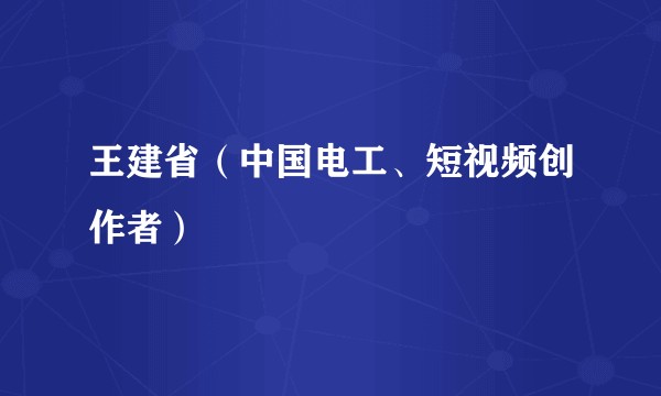 王建省（中国电工、短视频创作者）
