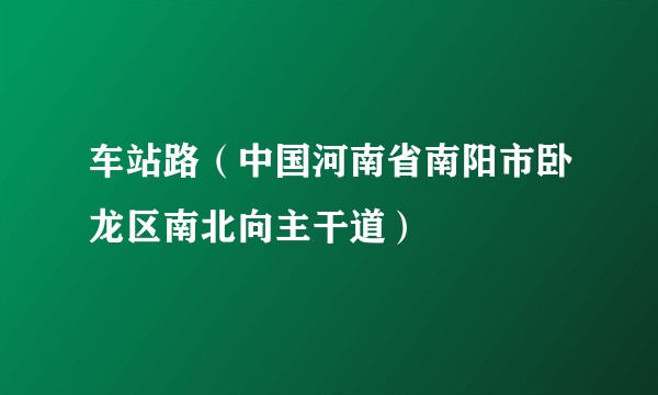 车站路（中国河南省南阳市卧龙区南北向主干道）