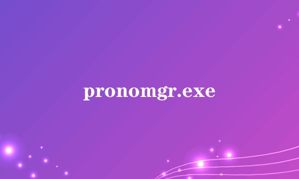 pronomgr.exe
