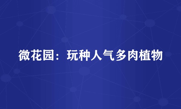 微花园：玩种人气多肉植物