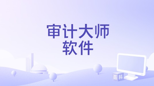 审计大师软件