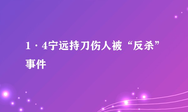 1·4宁远持刀伤人被“反杀”事件