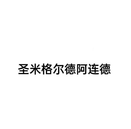 圣米格尔德阿连德
