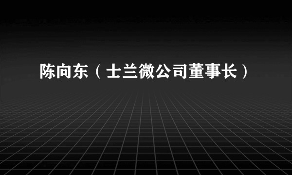 陈向东（士兰微公司董事长）