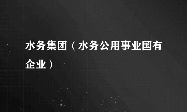 水务集团（水务公用事业国有企业）