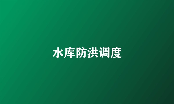 水库防洪调度
