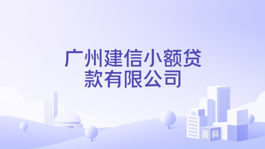 广州建信小额贷款有限公司