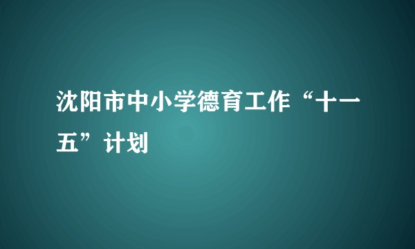 沈阳市中小学德育工作“十一五”计划