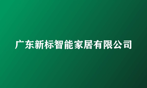 广东新标智能家居有限公司